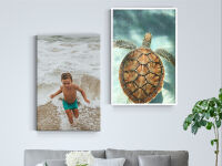 Canvas Prints