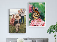 Canvas Prints